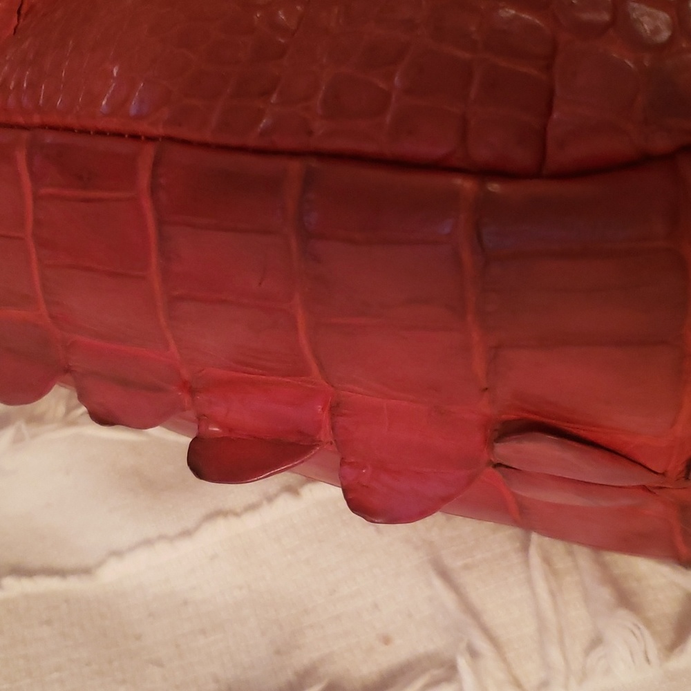 Alligator Purse View 2